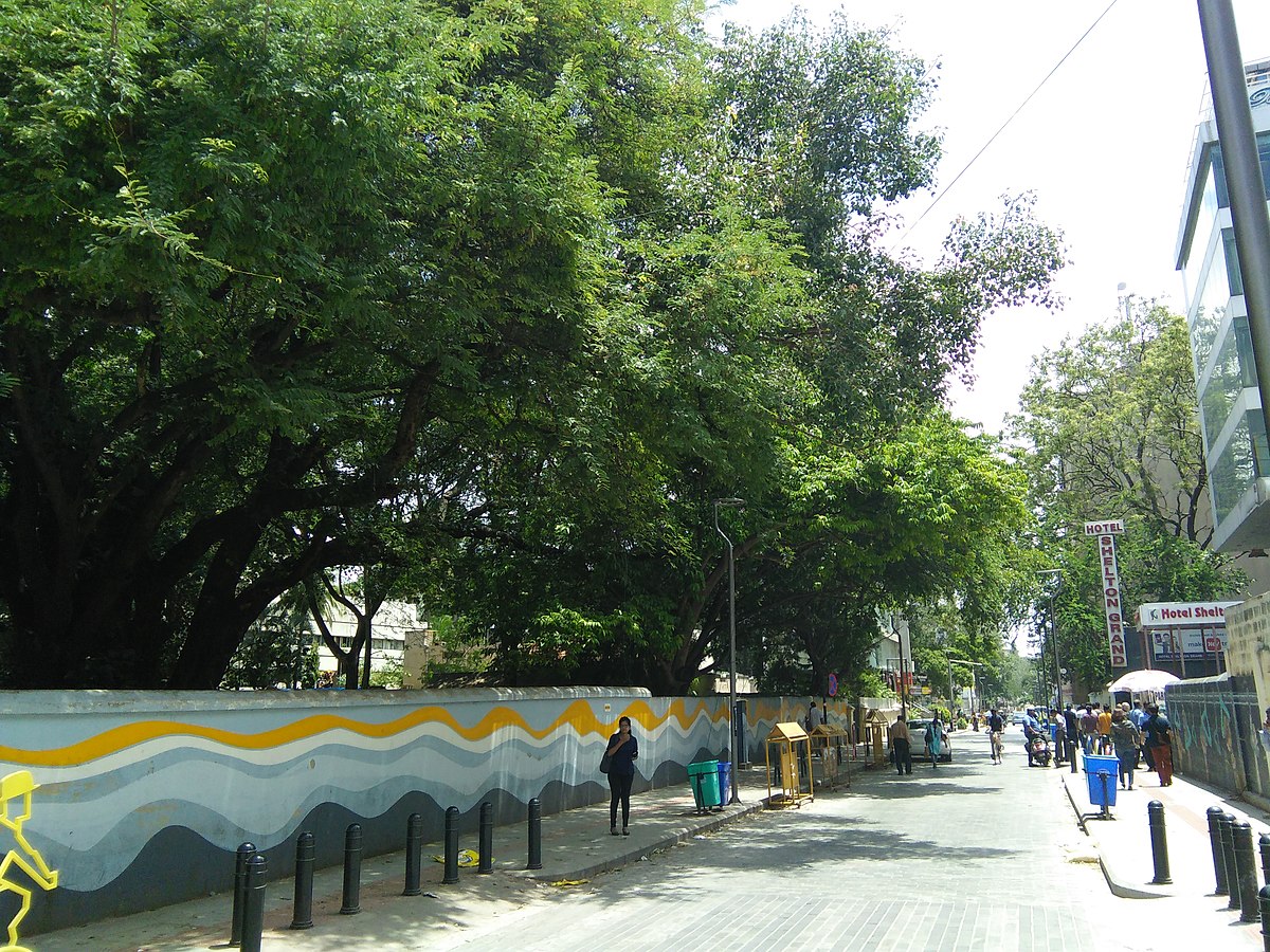1200px-Bangalore_Church_street_trees_1.jpg