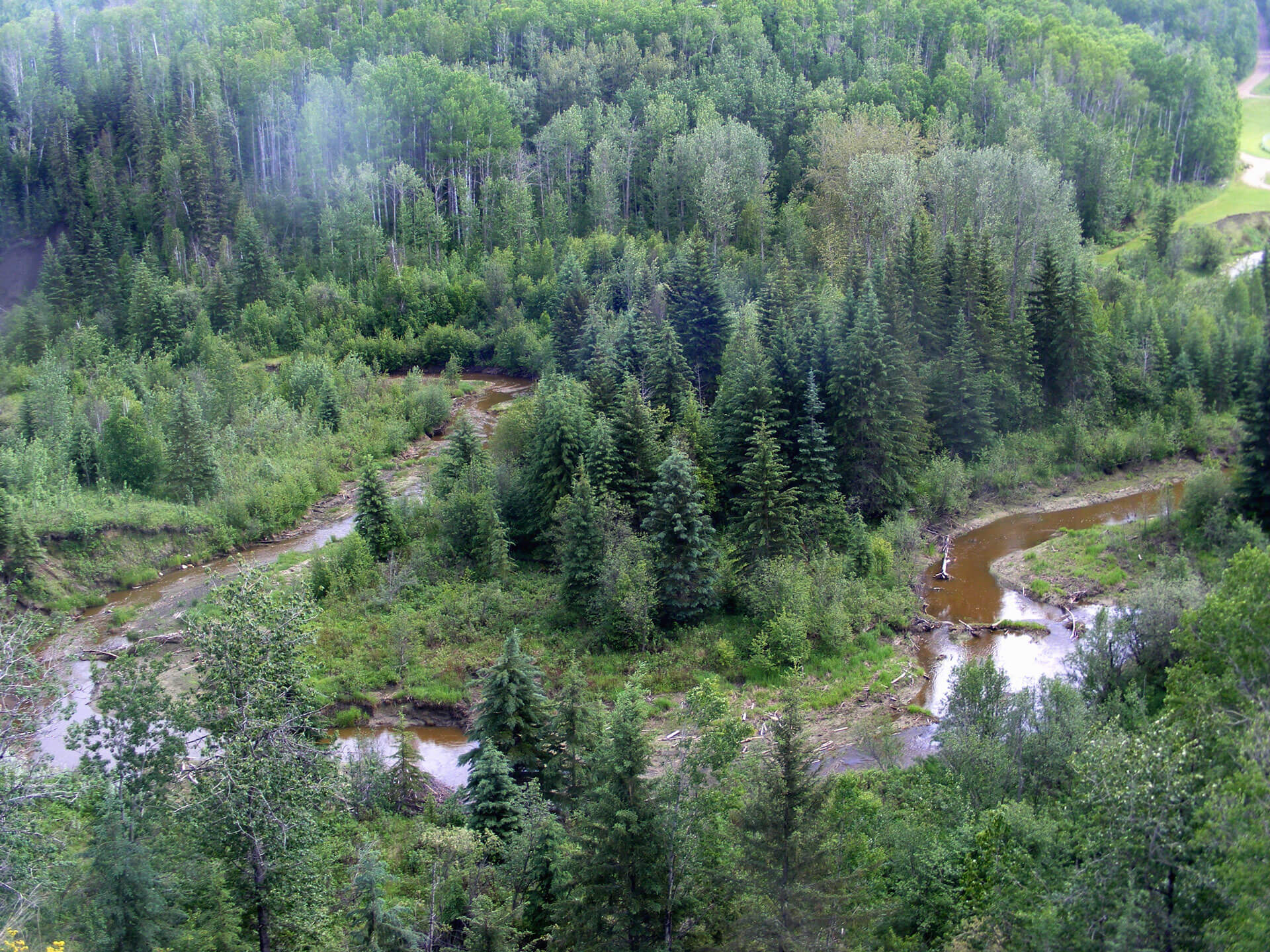 2023_AB_Muskeg_Creek_Trail.jpg