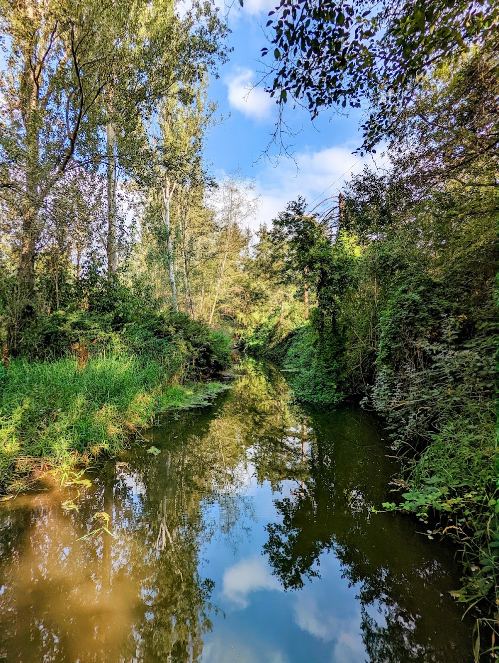 2023_BC_Colquitz_River_Trail.jpg