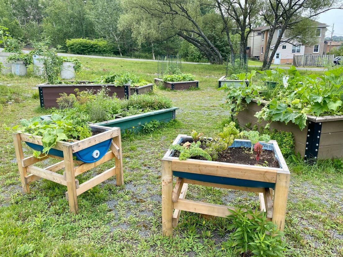 2023_ON_Delki_Dozzi_Community_Gardens.jpg