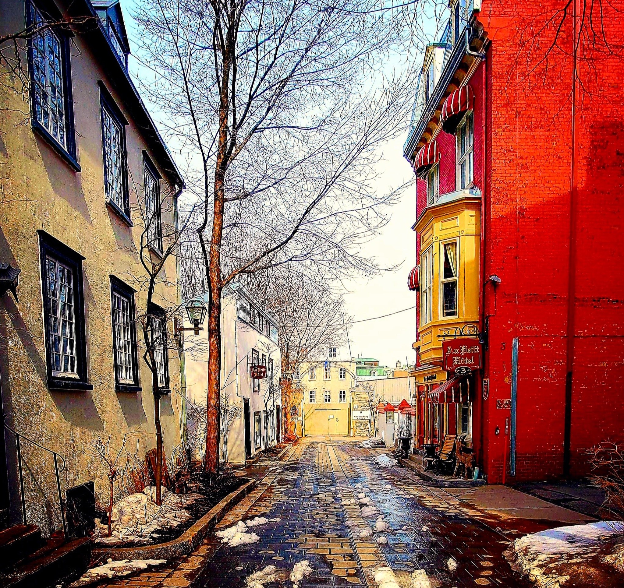 2024_QC_Ruelle_des_Ursulines.jpg